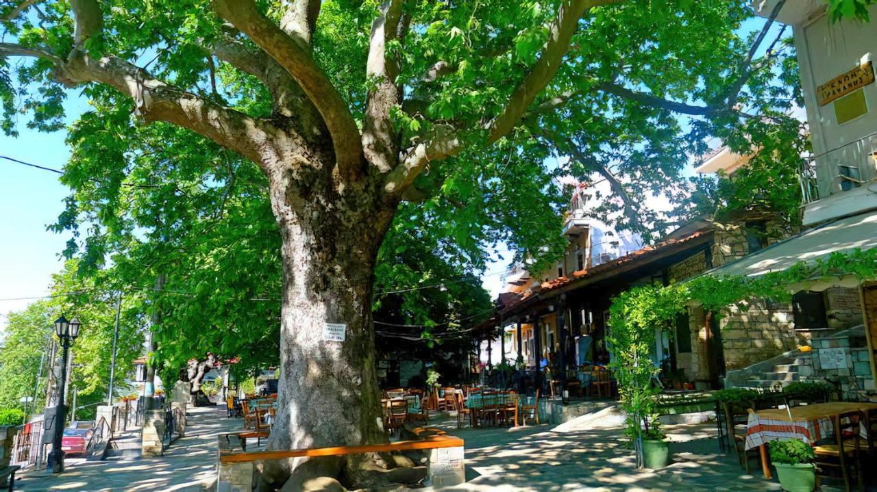 Rapsani Panorama Villa Экстерьер фото