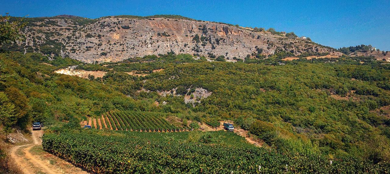 Rapsani Panorama Villa Экстерьер фото